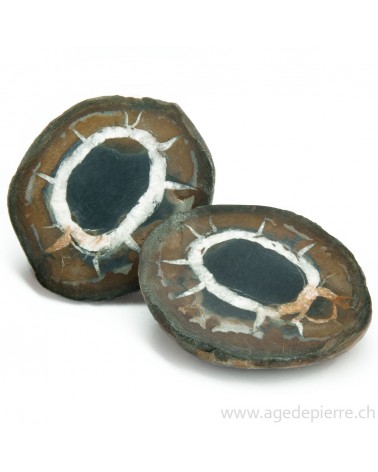 Septaria paire de géodes l'Âge de pierre