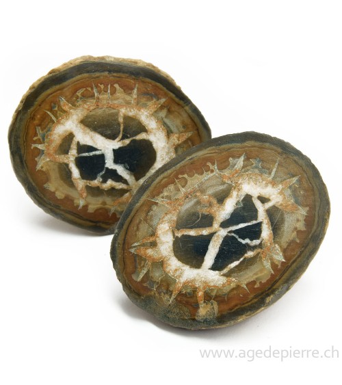 Septaria paire de géodes l'Âge de pierre