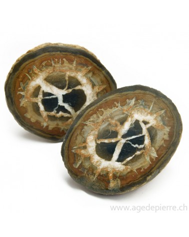 Septaria paire de géodes l'Âge de pierre