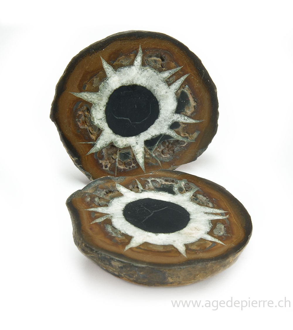 Septaria paire de géodes l'Âge de pierre