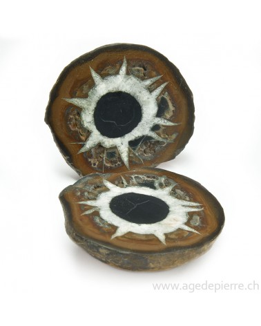 Septaria paire de géodes l'Âge de pierre