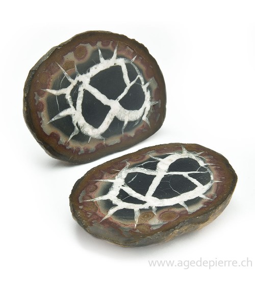 Septaria paire de géodes l'Âge de pierre