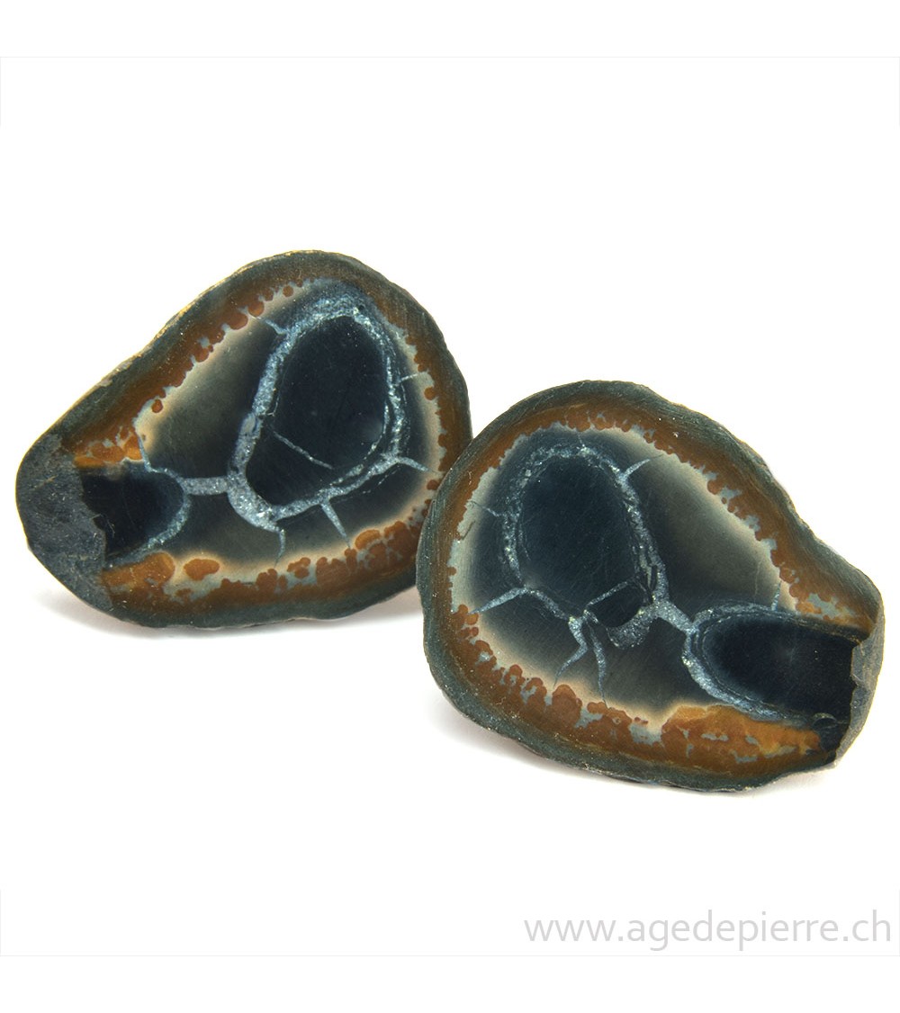 Septaria paire de géodes l'Âge de pierre