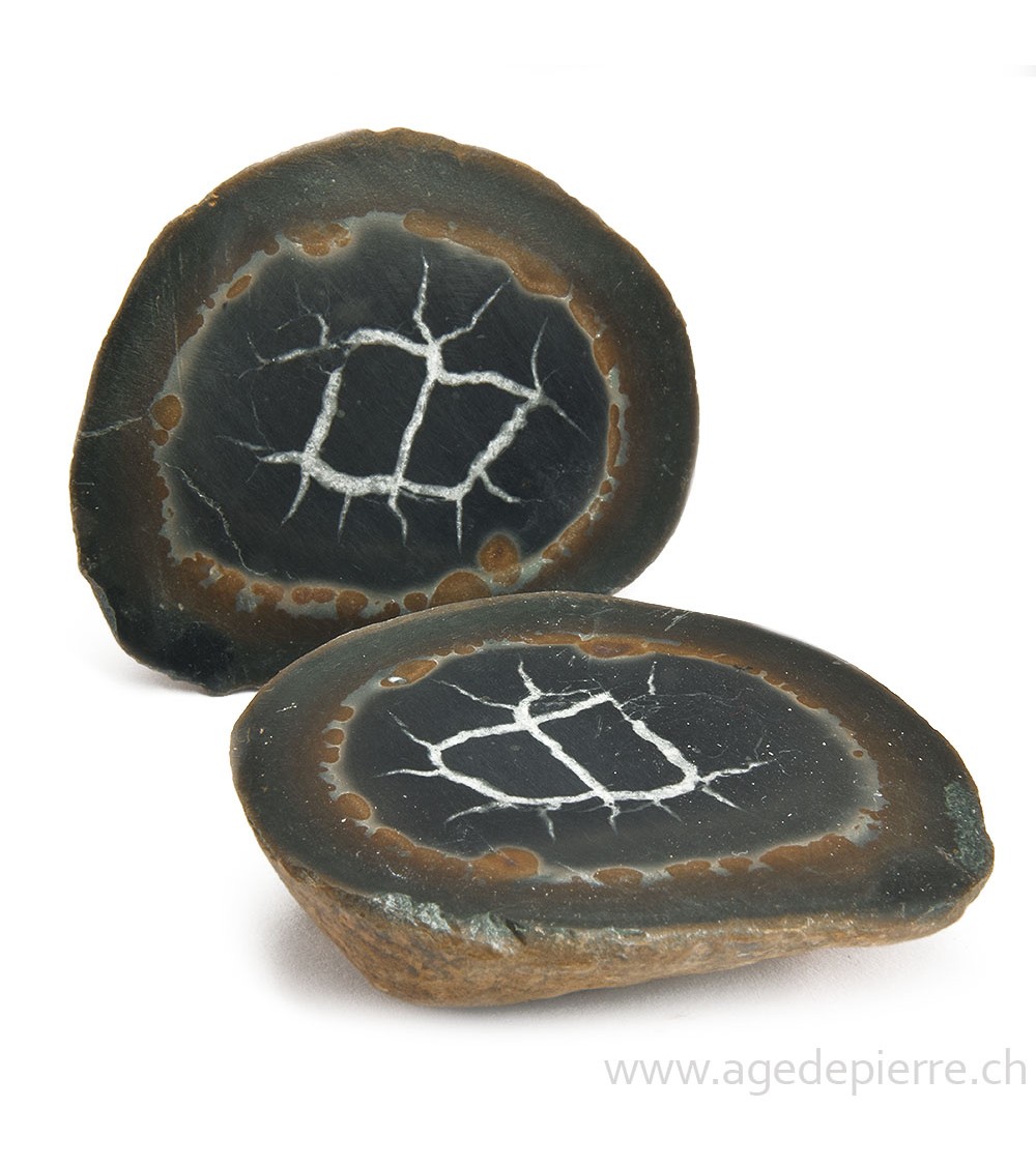 Septaria paire de géodes l'Âge de pierre
