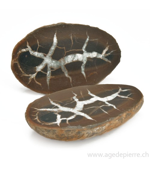 Septaria paire de géodes l'Âge de pierre