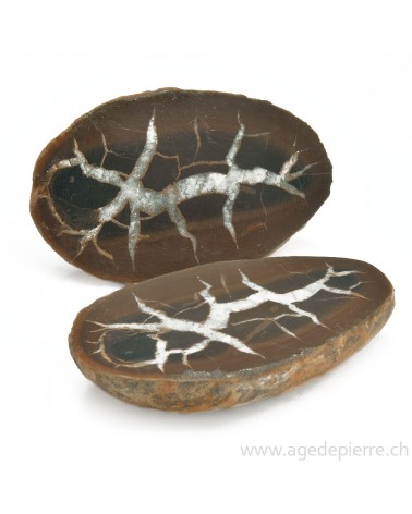 Septaria paire de géodes l'Âge de pierre