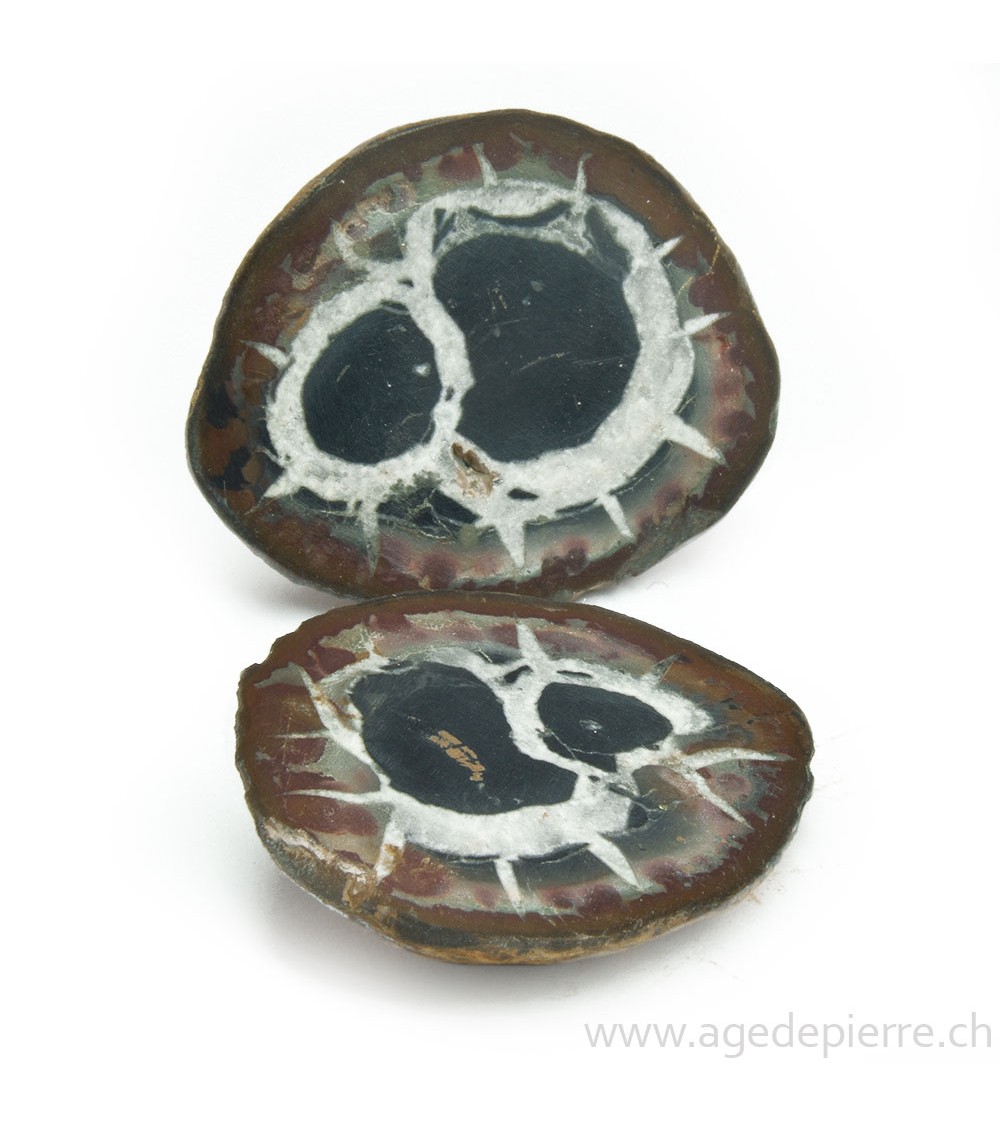 Septaria paire de géodes l'Âge de pierre