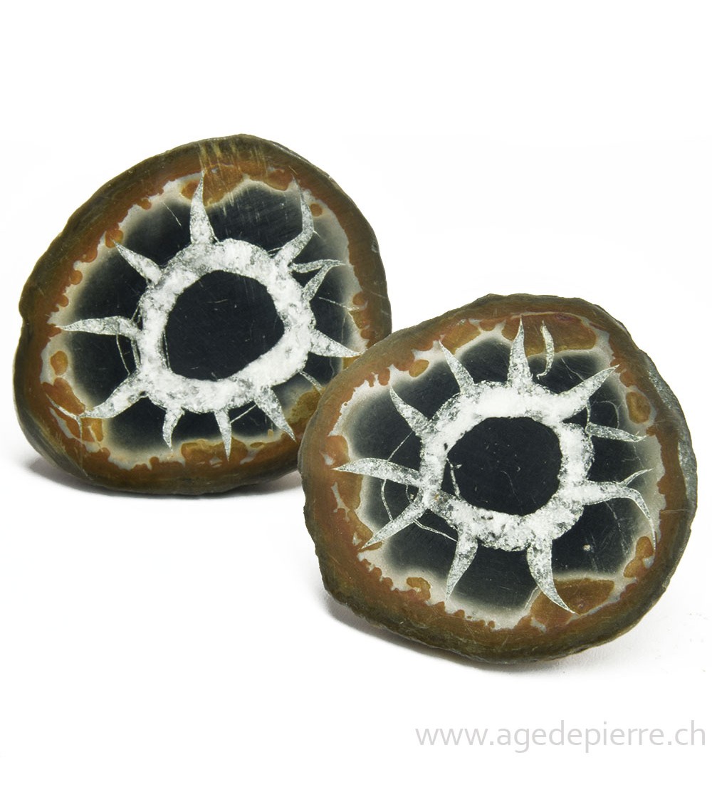 Septaria paire de géodes l'Âge de pierre