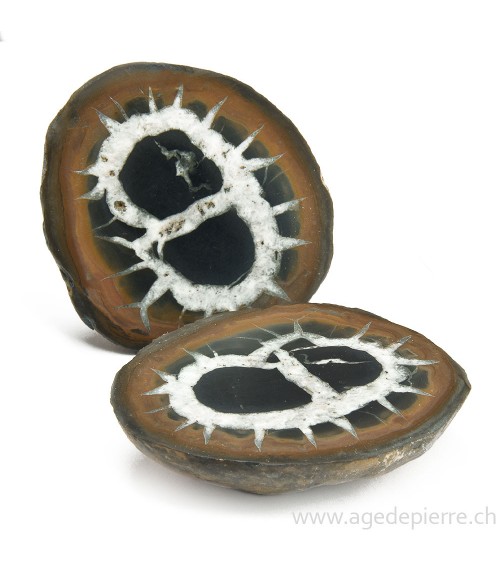 Septaria paire de géodes l'Âge de pierre