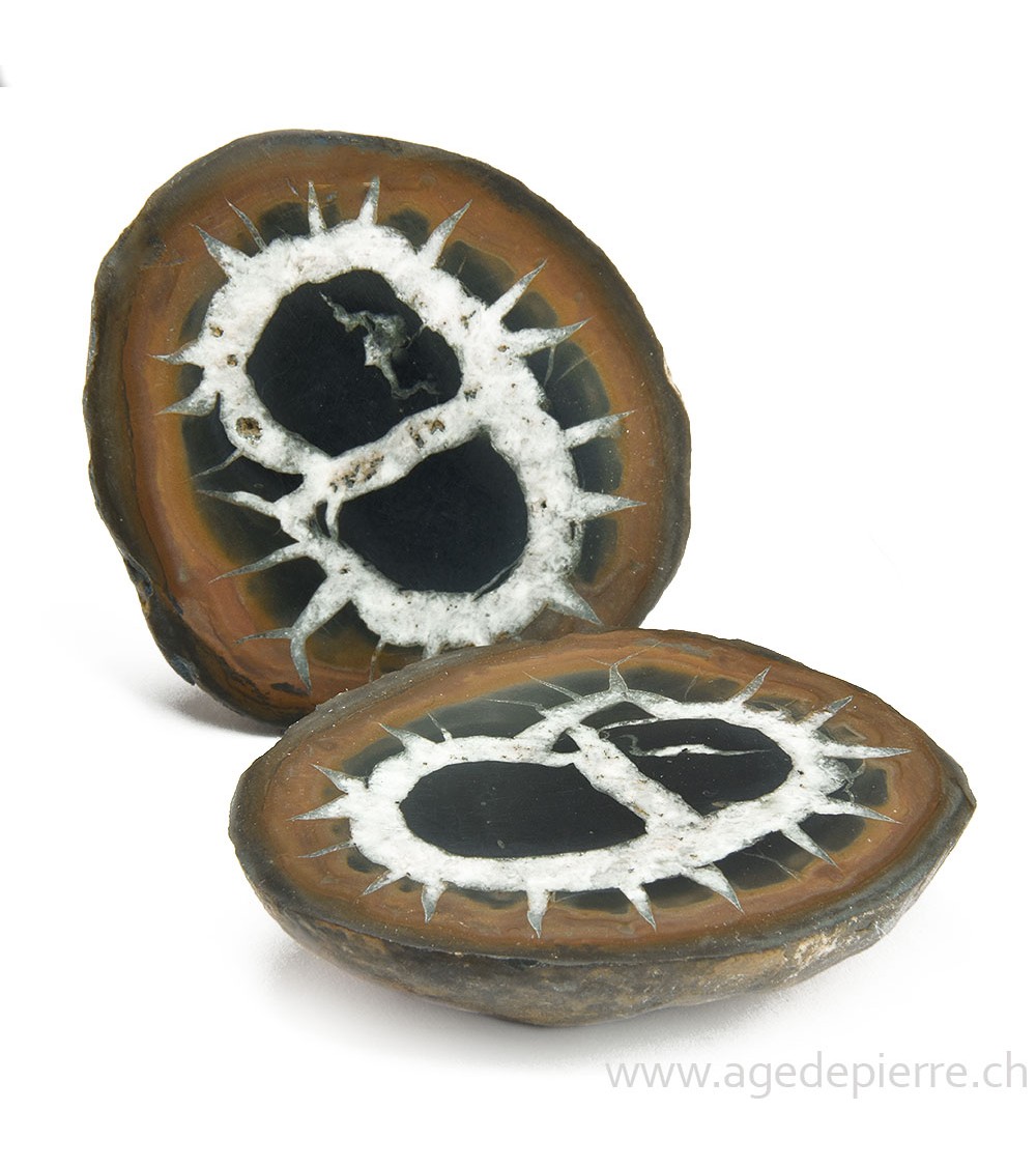 Septaria paire de géodes l'Âge de pierre