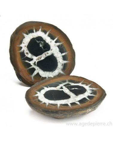 Septaria paire de géodes l'Âge de pierre