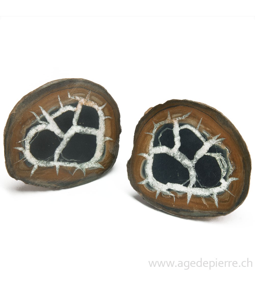 Septaria paire de géodes l'Âge de pierre