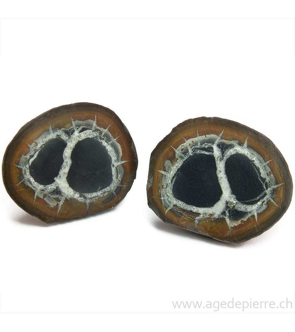 Septaria paire de géodes l'Âge de pierre