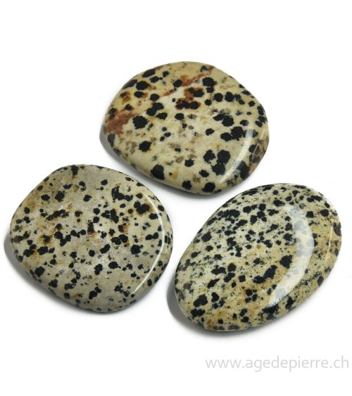 Jaspe dalmatien