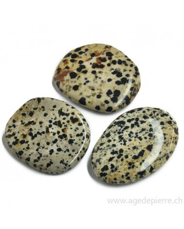 Jaspe dalmatien