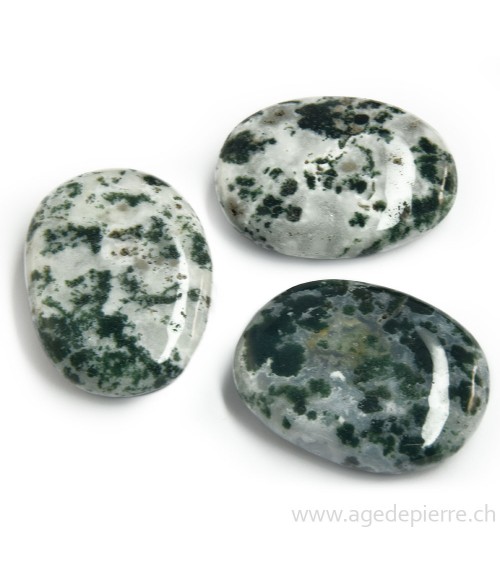Agate arborisée galet l'Âge de pierre Vevey