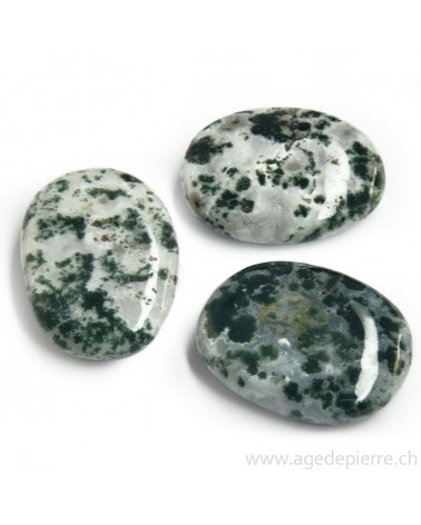 Agate arborisée galet l'Âge de pierre Vevey
