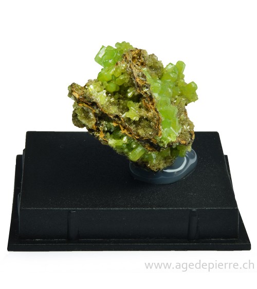 Pyromorphite brute