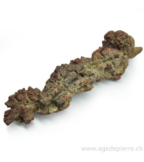 coprolite l'âge de pierre