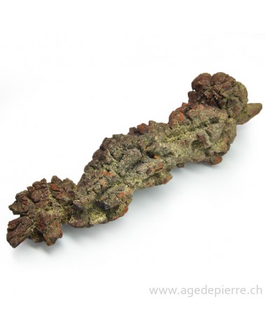 coprolite l'âge de pierre
