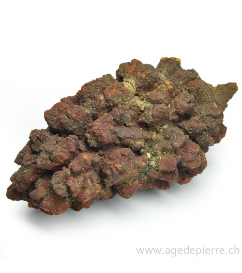 coprolite l'âge de pierre