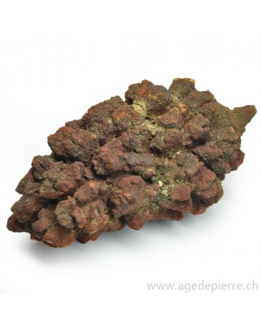 coprolite l'âge de pierre