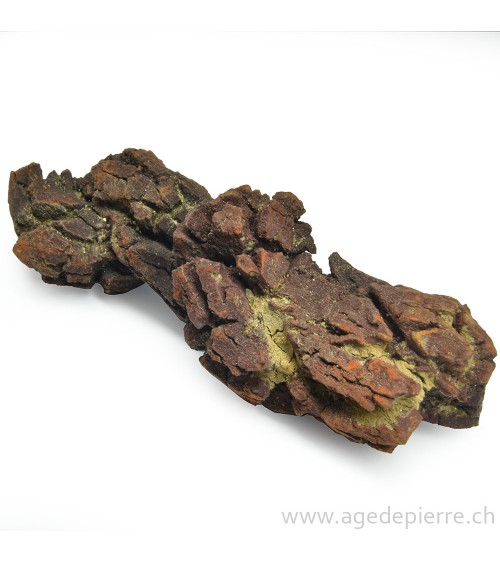 coprolite l'âge de pierre