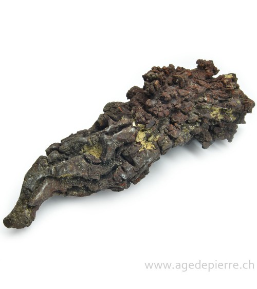 Coprolite l'âge de pierre
