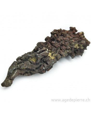 Coprolite l'âge de pierre