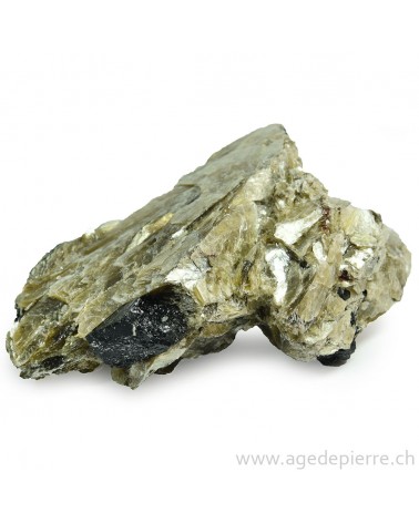Muscovite brute avec tourmaline noire l'âge de pierre Vevey