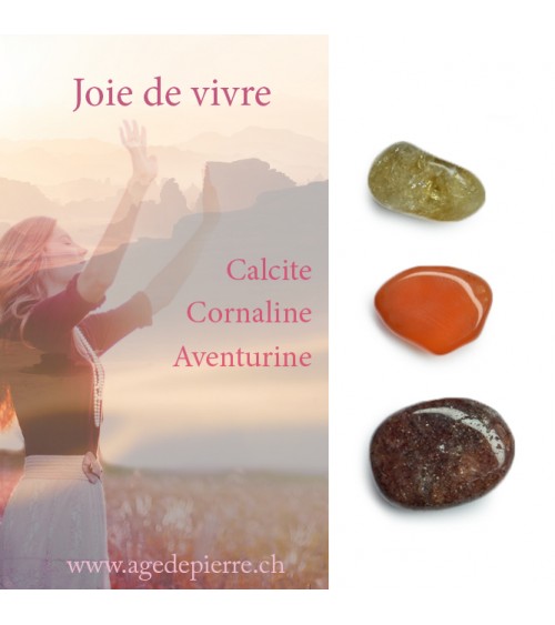 Kit joie de vivre l'Âge de pierre Vevey