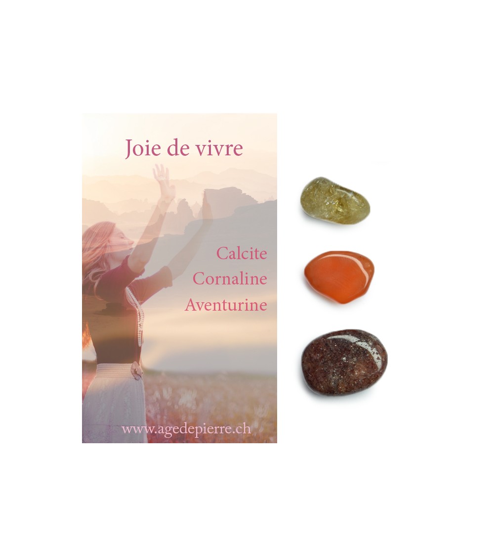 Kit joie de vivre l'Âge de pierre Vevey