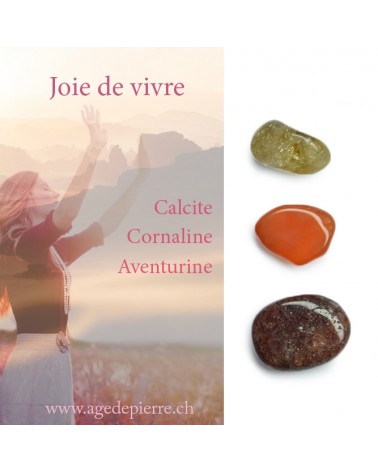 Kit joie de vivre l'Âge de pierre Vevey
