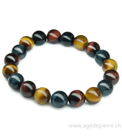 Oeil de tigre, faucon et taureau bracelet l'Âge de pierre Vevey