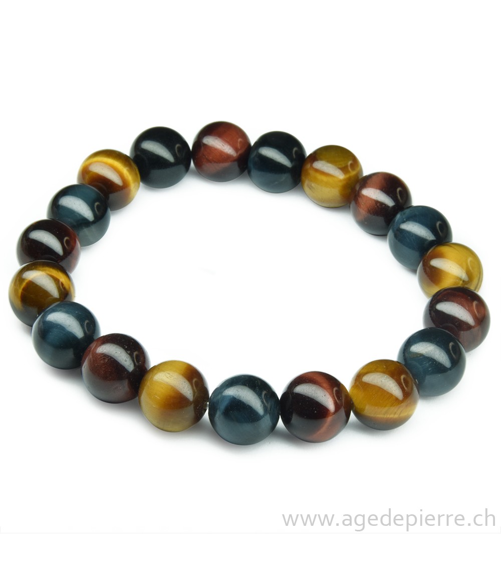 Oeil de tigre, faucon et taureau bracelet l'Âge de pierre Vevey