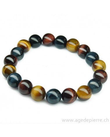 Oeil de tigre, faucon et taureau bracelet l'Âge de pierre Vevey