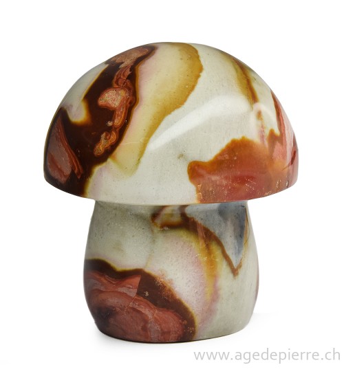 Jaspe polychrome champignon l'Âge de pierre Vevey